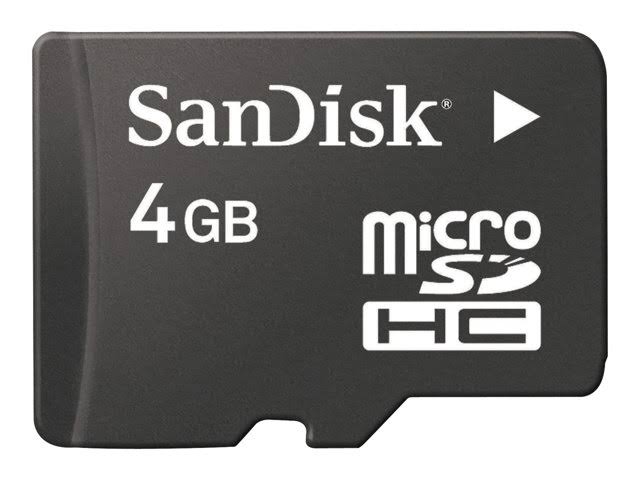 4GB SDHC Flash Memory Card V550219