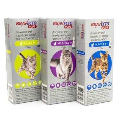 Topical Solution for Cats R20352