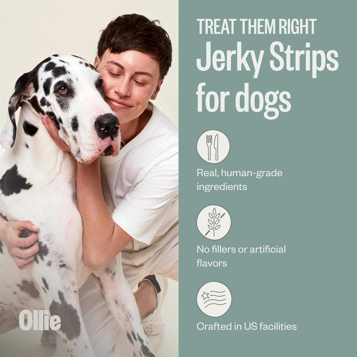 Beef and Sweet Potato Dog Jerky Treats O44664