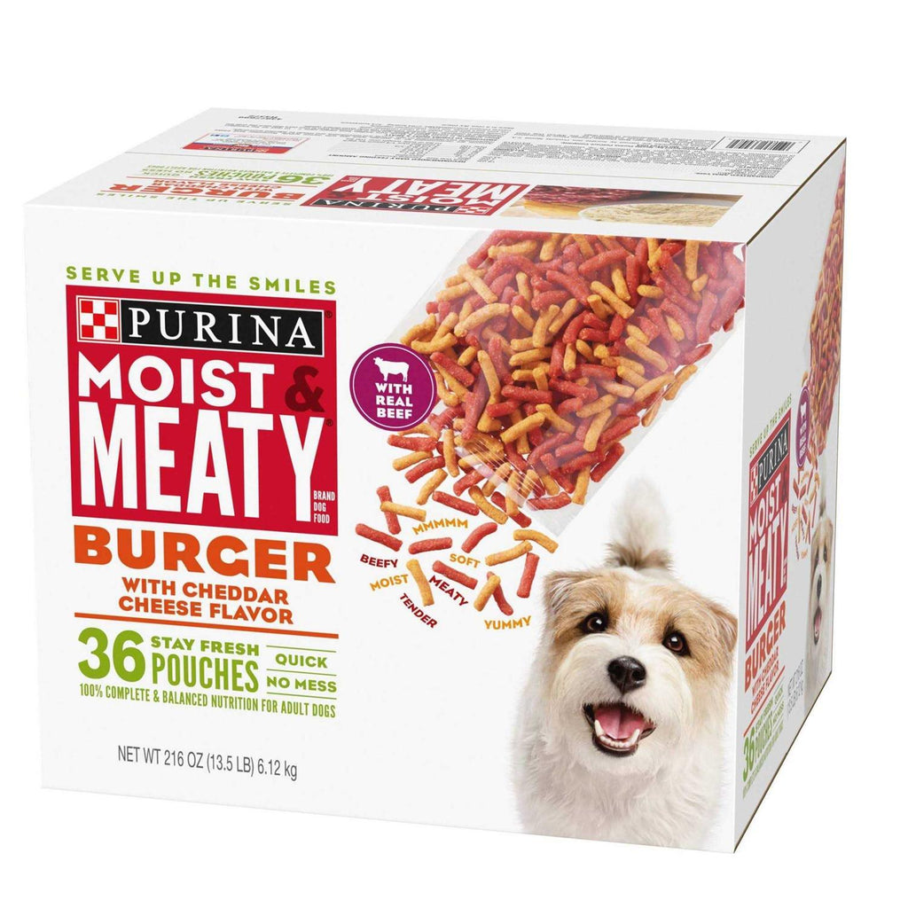 Moist & Meaty Burger Cheddar Cheese Flavor Dry Dog Food H46674