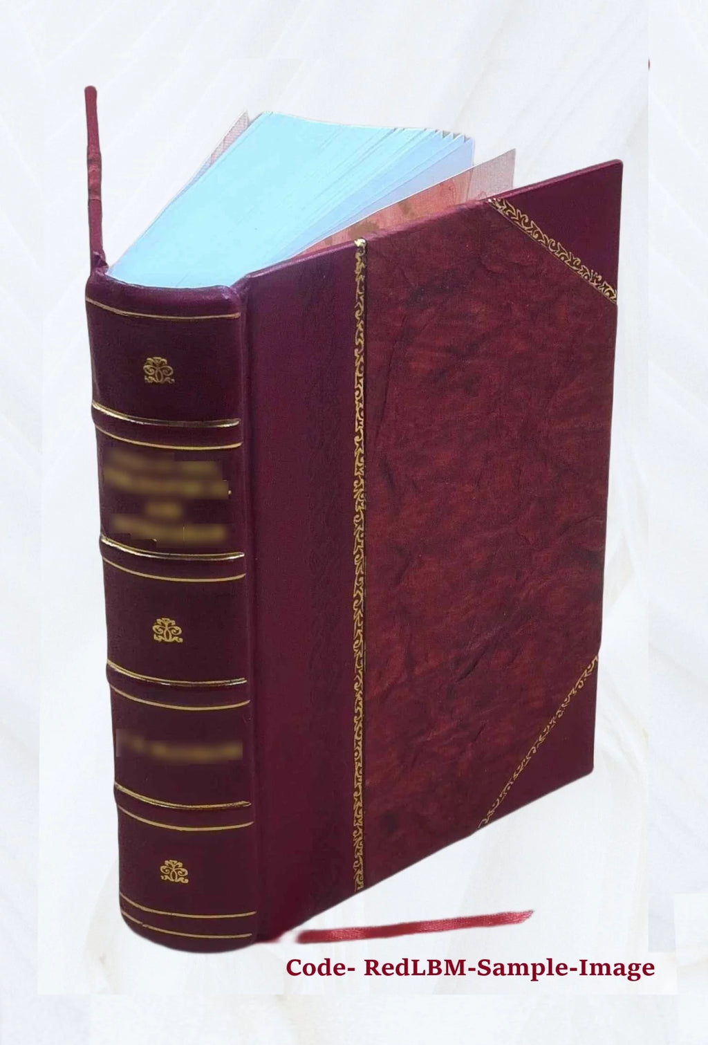 Leather Bound Furniture and Furnishings P625