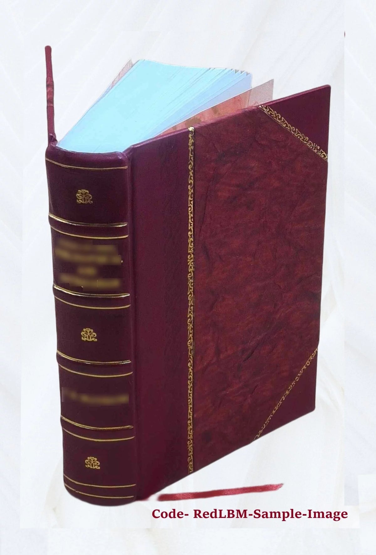 Leather Bound Furniture and Furnishings P625