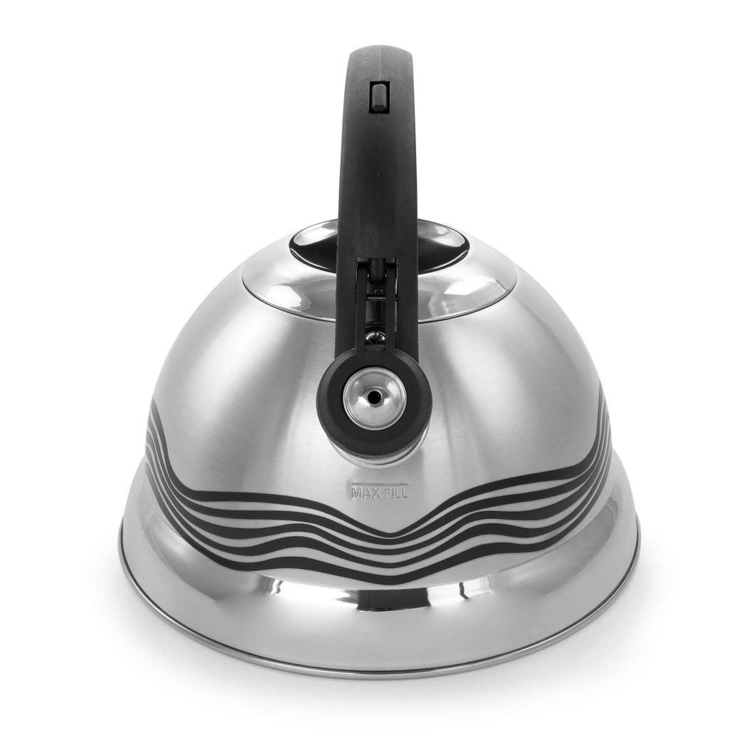 Stainless Steel Whistling Tea Kettle T9588