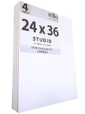 24 x 36x22 Stretched Canvas Pack of 4 N30064