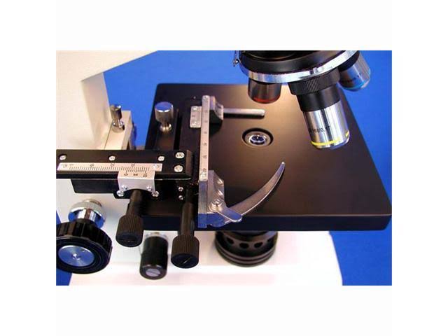 Black Binocular Biological Microscope A503462
