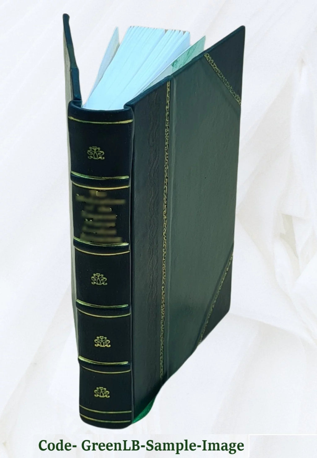 French Thoroughbred Stallions Leather Bound D27421